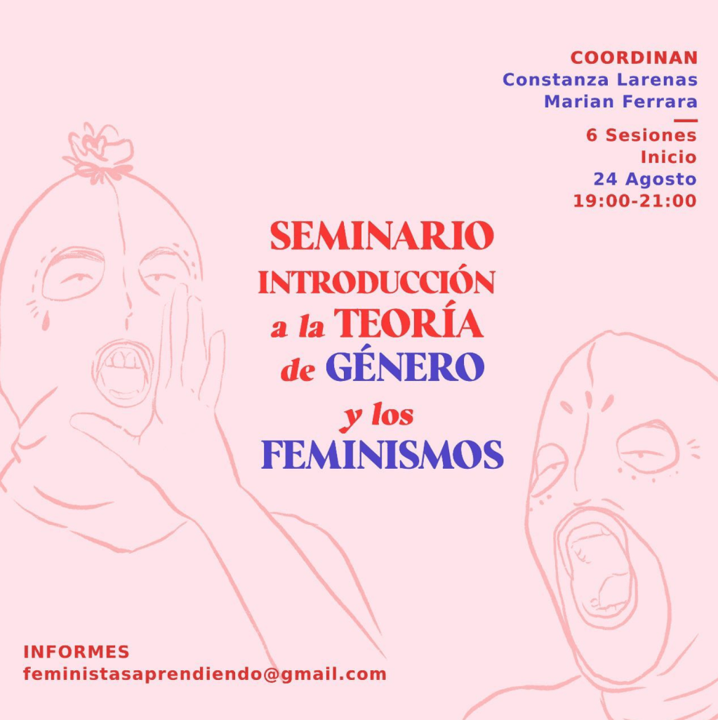 taller – seminario introducción a la teoría de género y los feminismos /&nbsp;2020